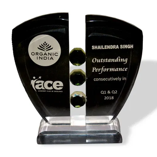 Outstanding Performance Crystal Award